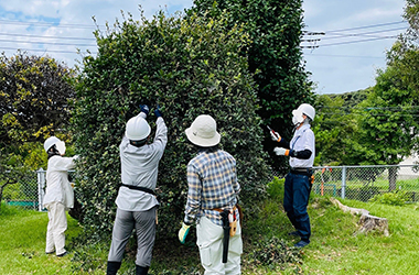 植木剪定講習会 実習風景